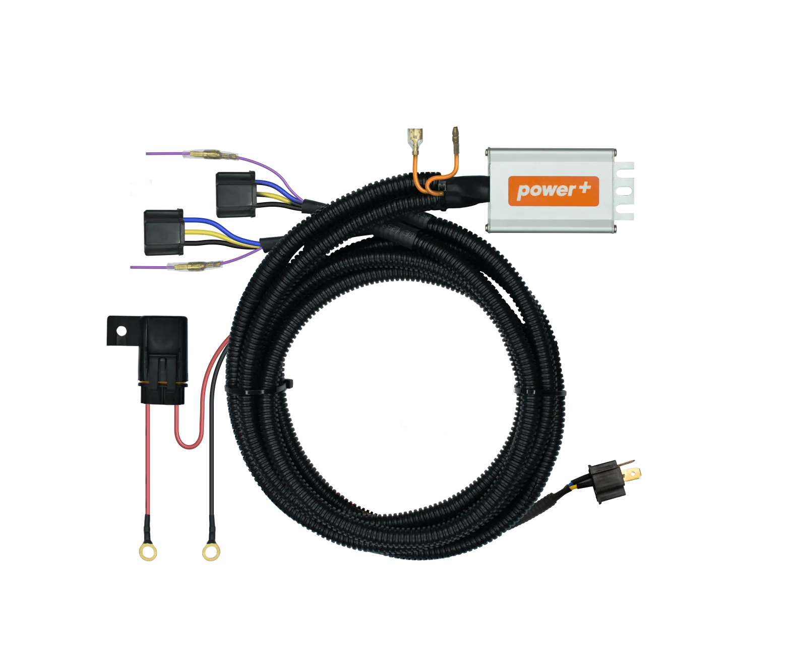 V6 H4 Double (Motor)